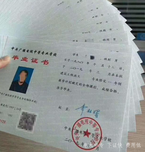 電大中專有什么專業可以學