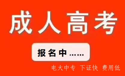河北成人高考是什么意思？