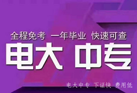 電大中?？级▽I官網報名入口