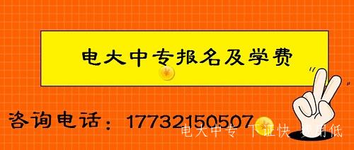 電大中專每月報名時間