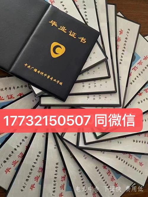 電大中?？梢钥级ò踩珕T嗎？
